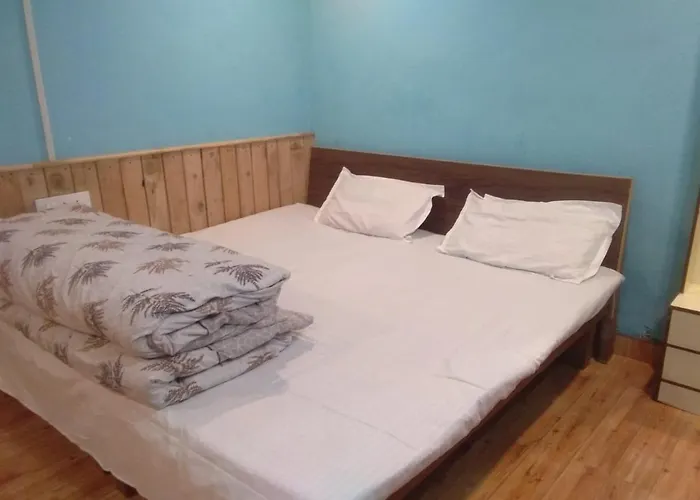 Ds Residency Homestay, Mohana